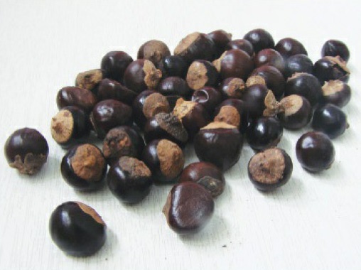 Guaraná